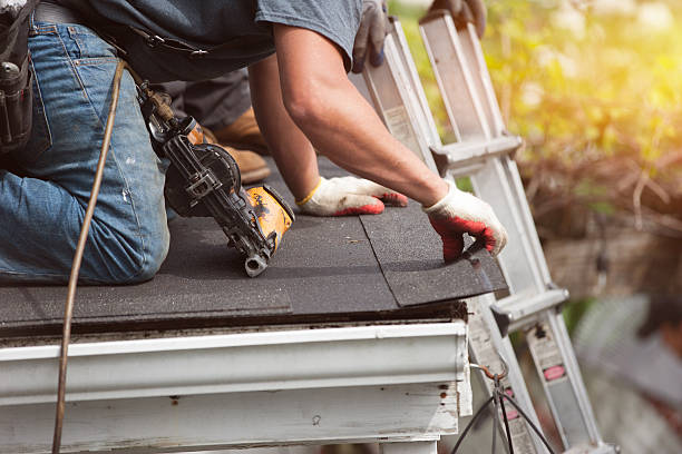 Best Roof Maintenance Services  in Harwood Heights, IL